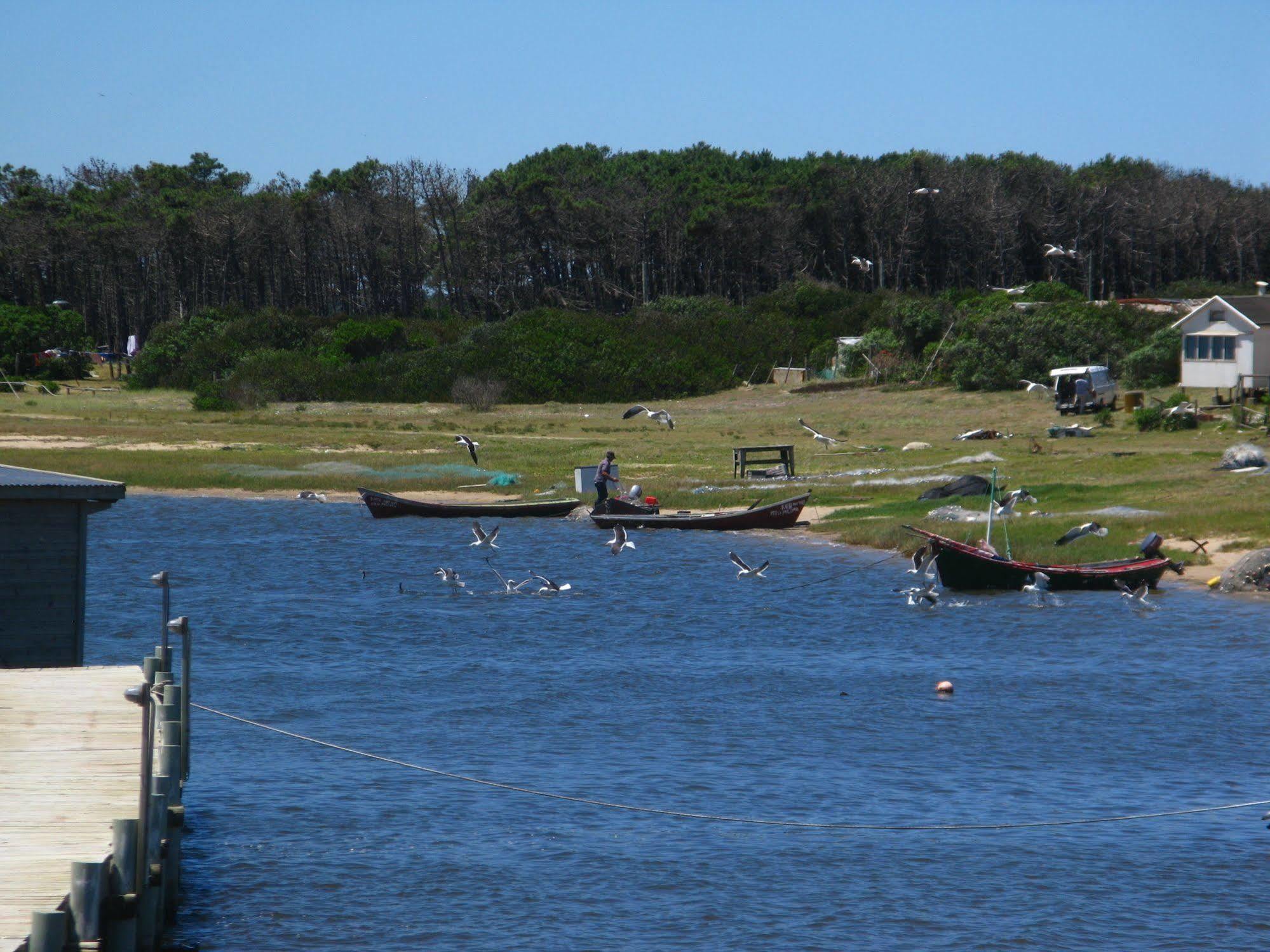 Laguna Garzon Lodge 何塞伊格纳西奥 外观 照片